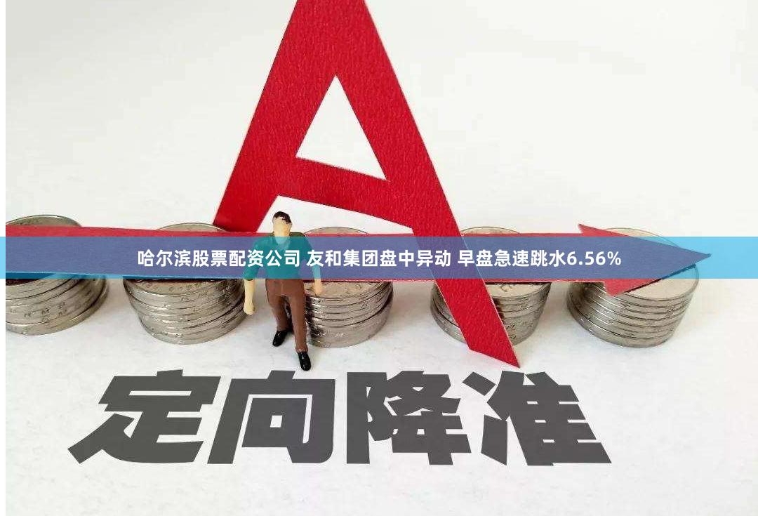 哈尔滨股票配资公司 友和集团盘中异动 早盘急速跳水6.56%